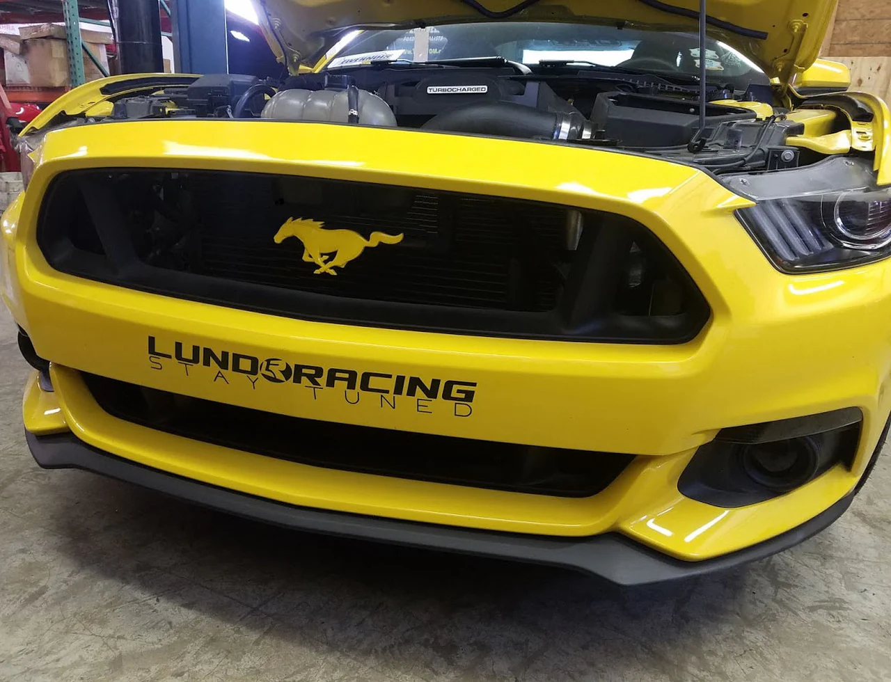 Front Pony Emblem (Pre-painted) for Mustang 2015-23 | #EM0005RHF | Ford - Image 4