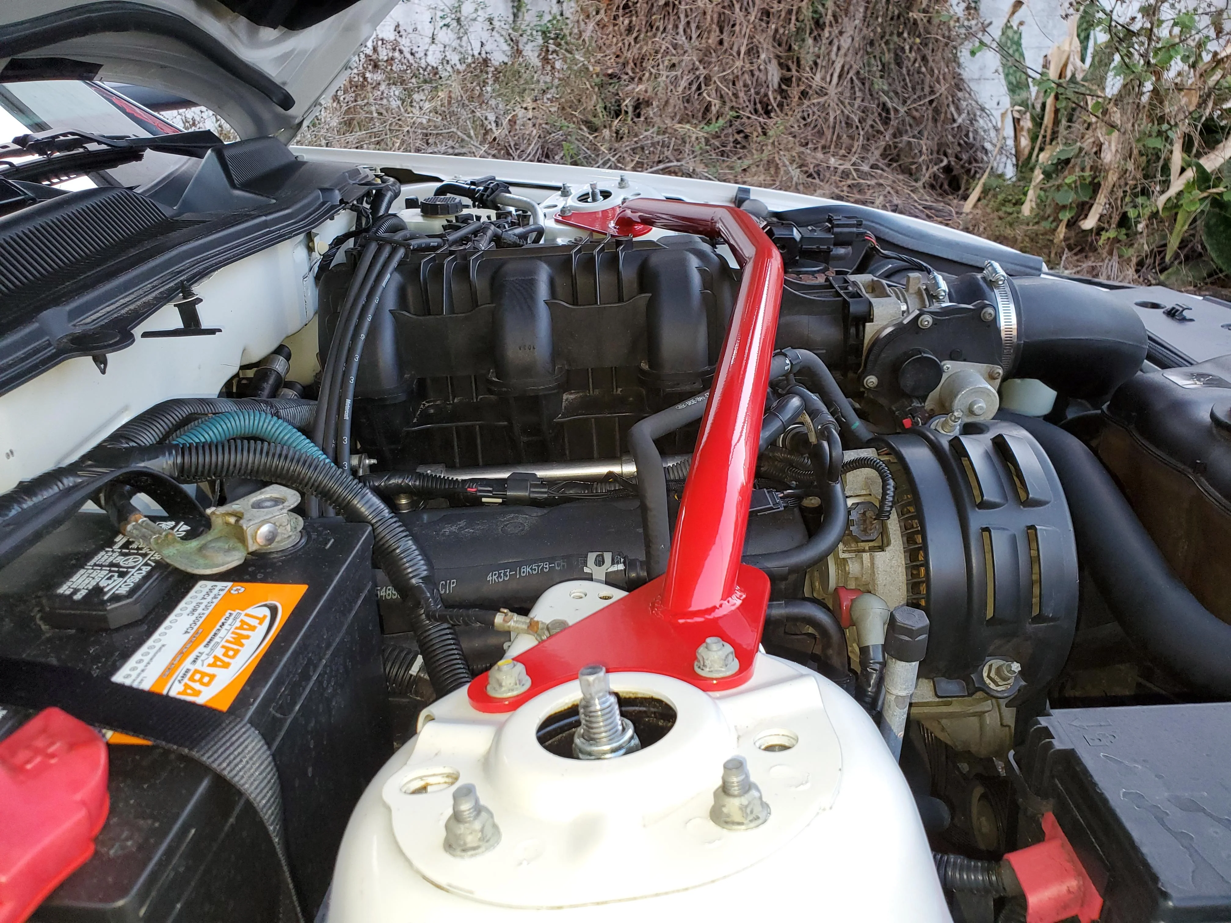 Strut Tower Brace for Mustang V6 2005-10 | #STB010 | BMR - Image 5