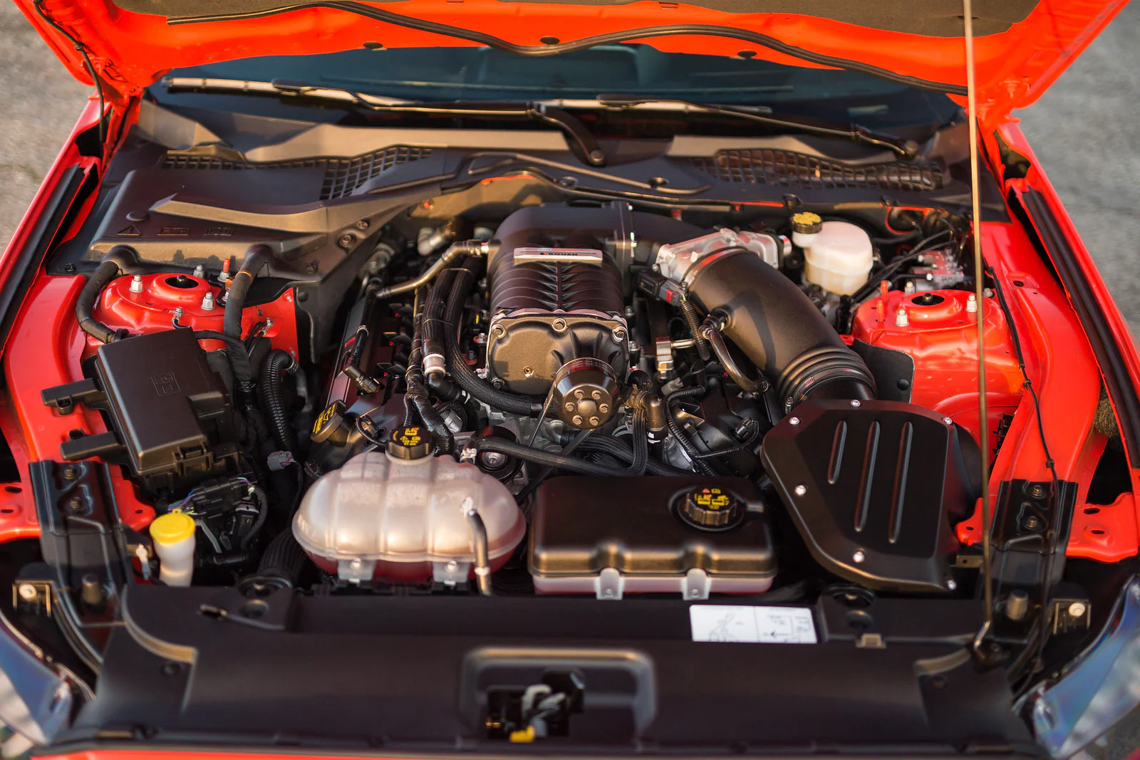 Phase 2 727HP Supercharger Kit for Mustang 5.0L GT 2015-17 | #422001 | Roush - Image 10