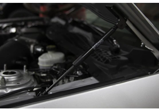 Hood Strut Kit (US IMPORTS ONLY) for Mustang 2015-23 | #422043 | Roush - Image 2