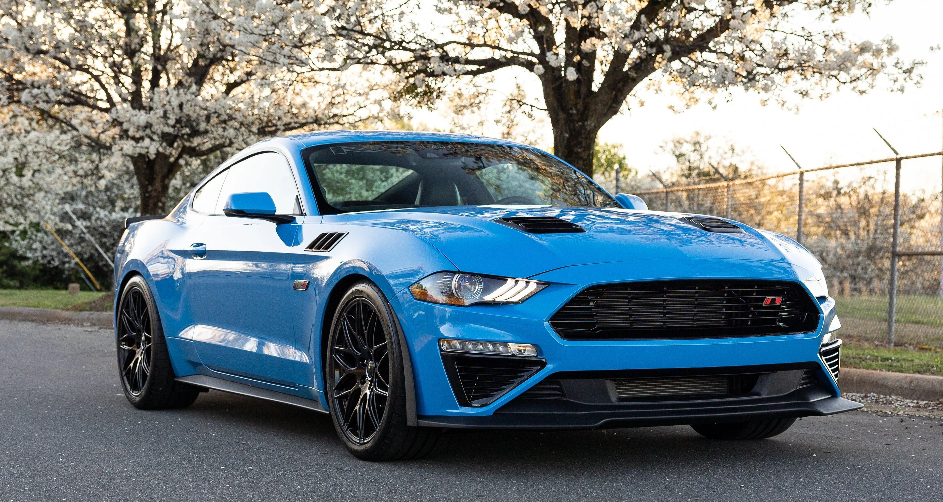 Front Grille for Mustang 2018-23 | #422275 | Roush - Image 6